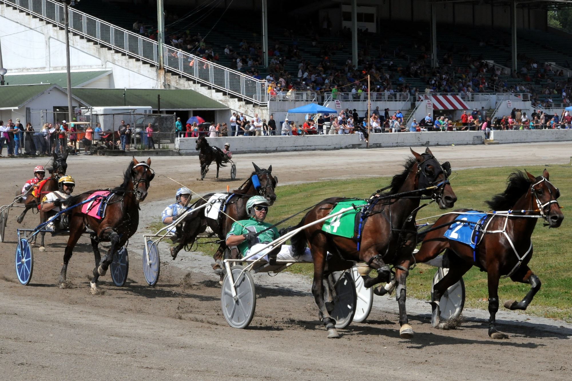 2019 Canfield Fair Photos