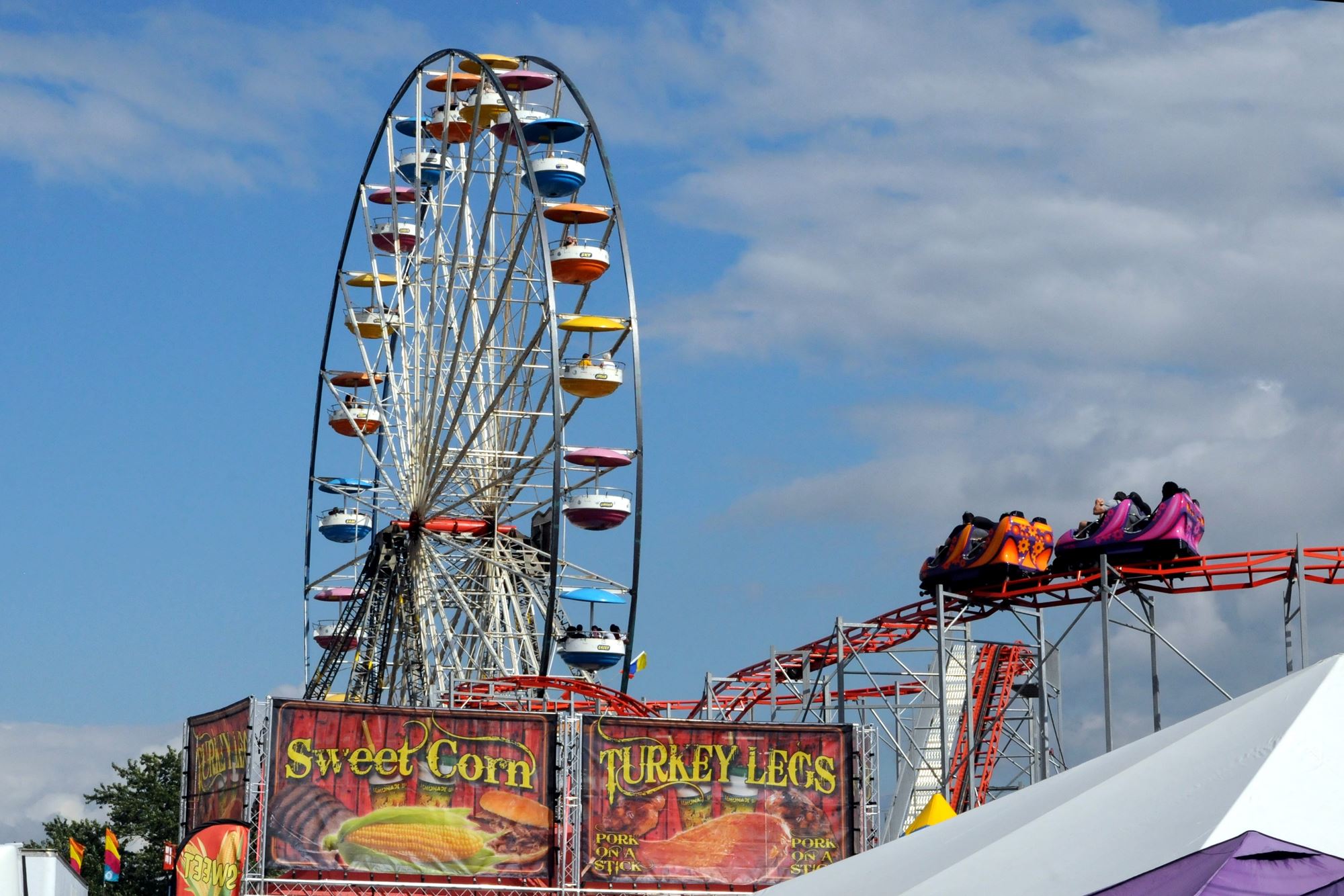 2019 Canfield Fair Photos