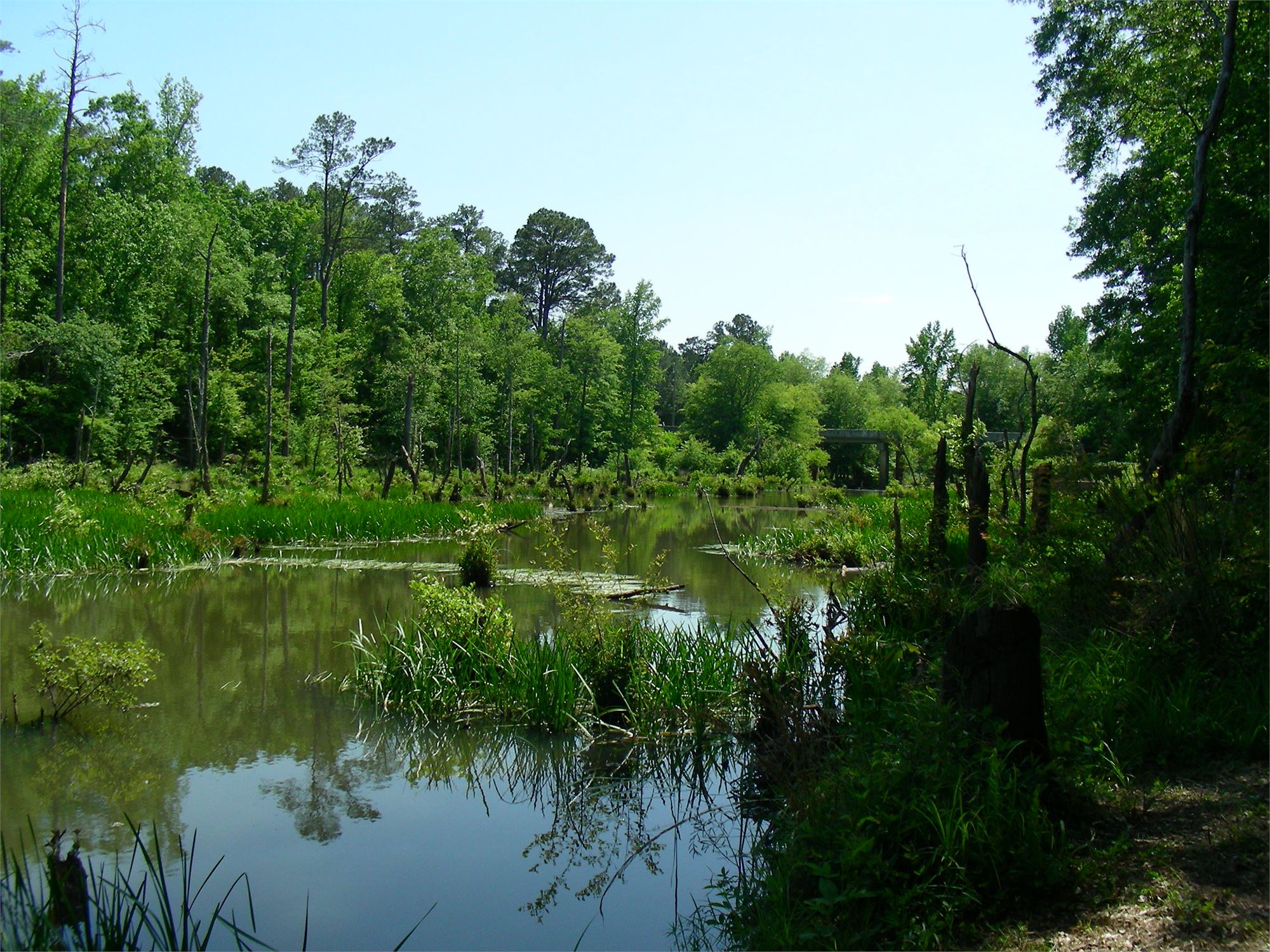 Big Haynes Creek Nature Center