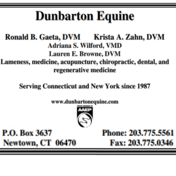 Dunbarton Equine