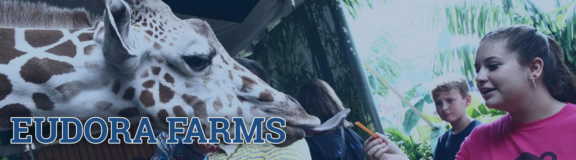 Eudora Farms