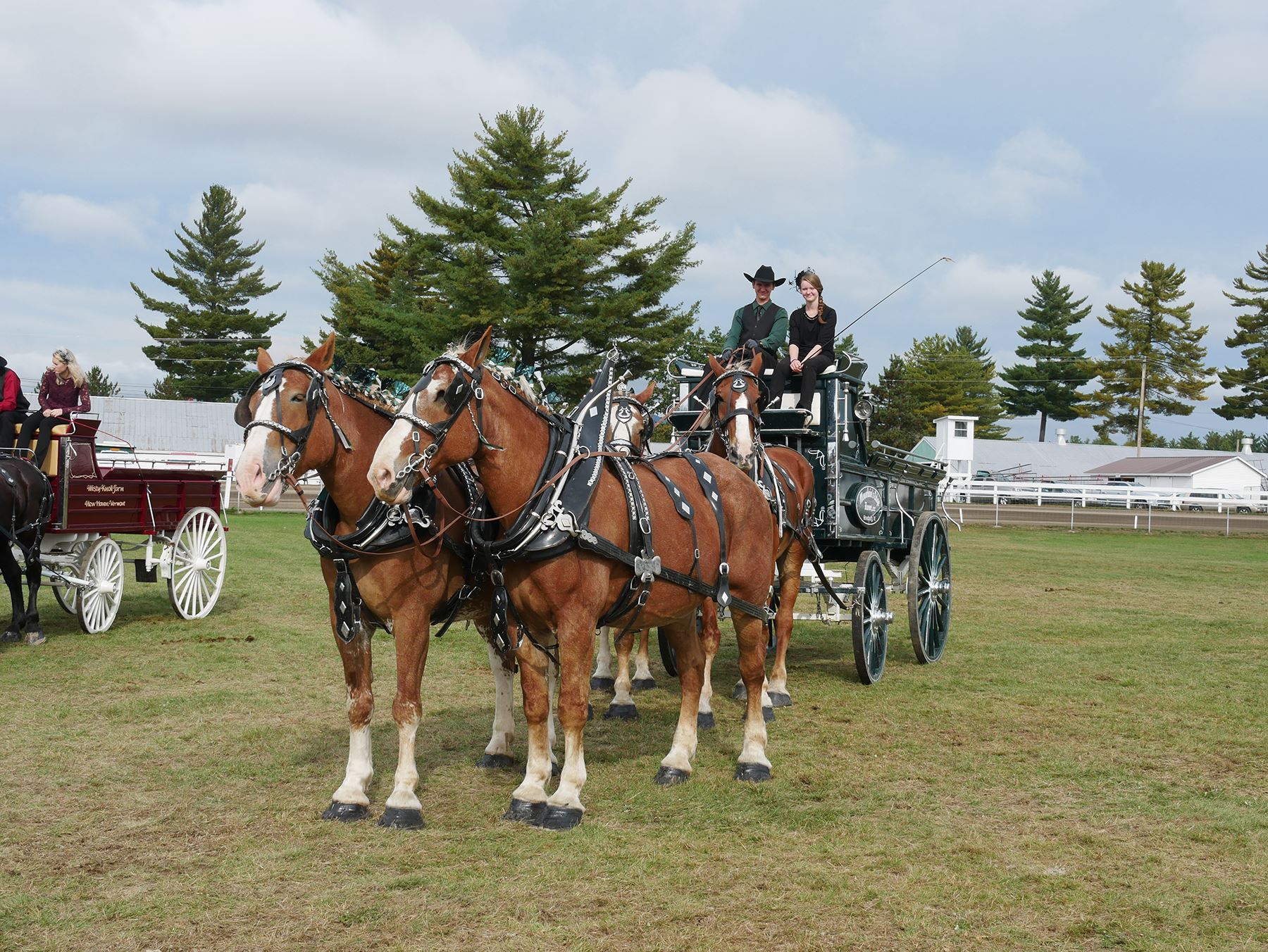 Draft Horses Show