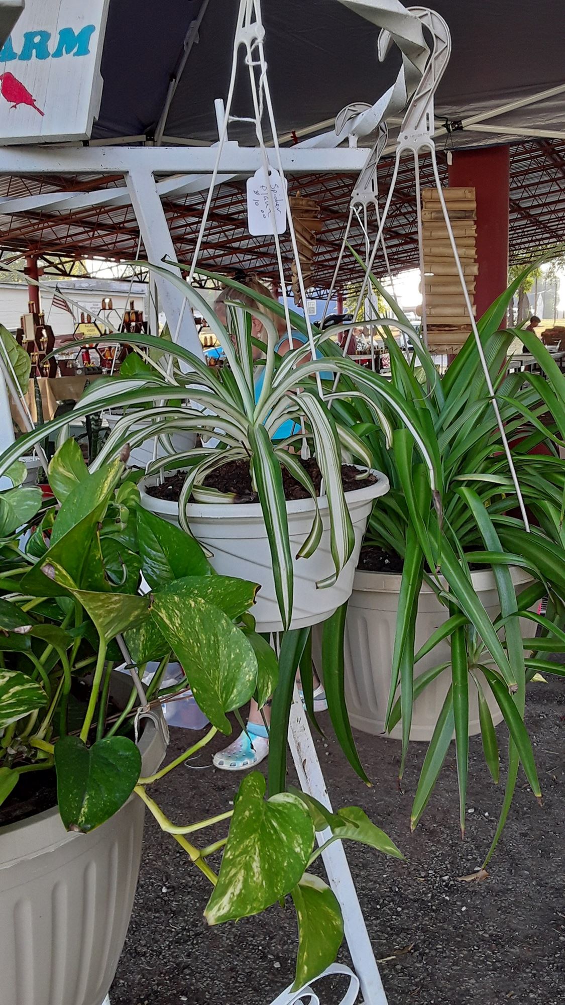 Palestine Farmers Market