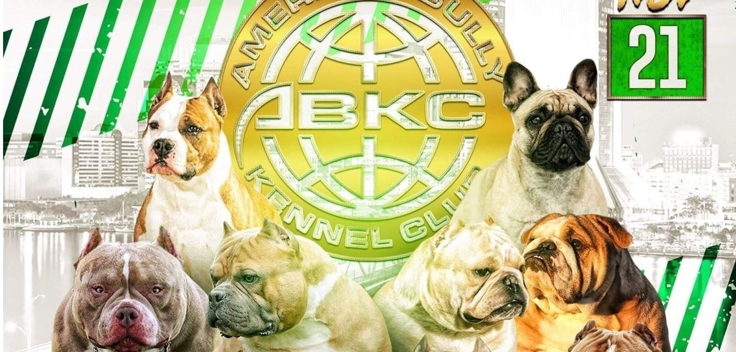 ABKC Jacksonville Bully Showdown III