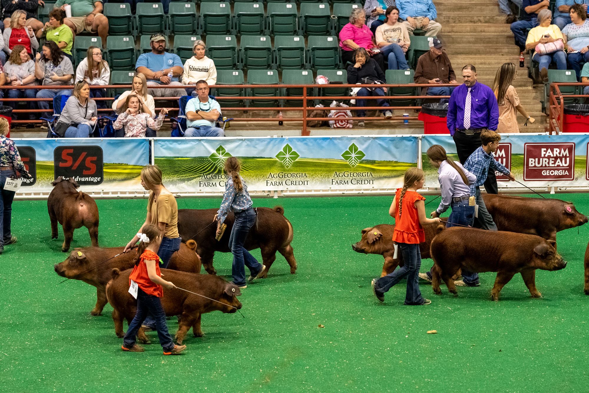 Livestock Competitions