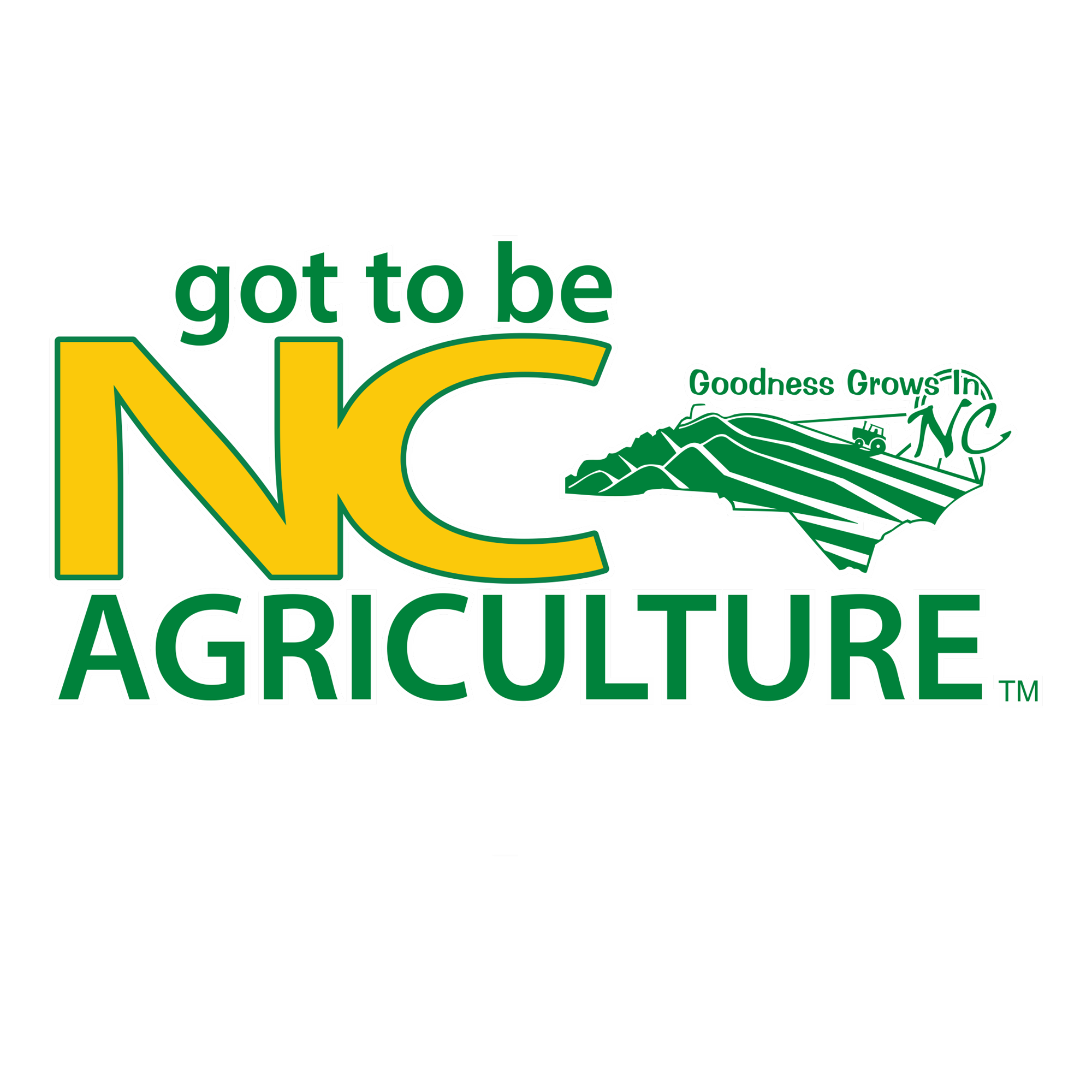 Cooking With The Chefs