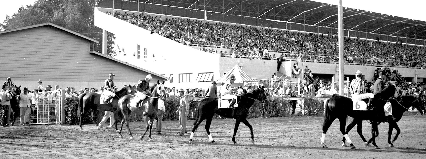 History of Horse Racing