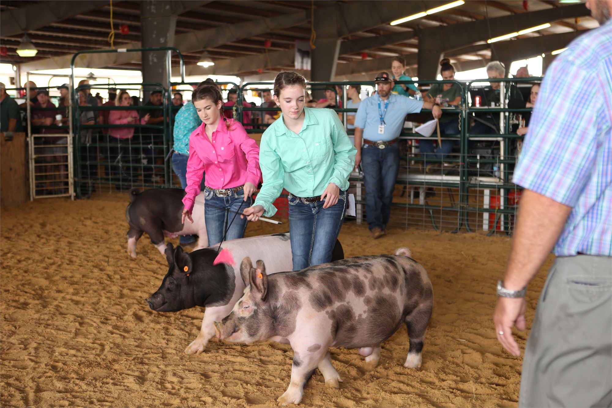 Exhibitor Information, Rules, & Forms