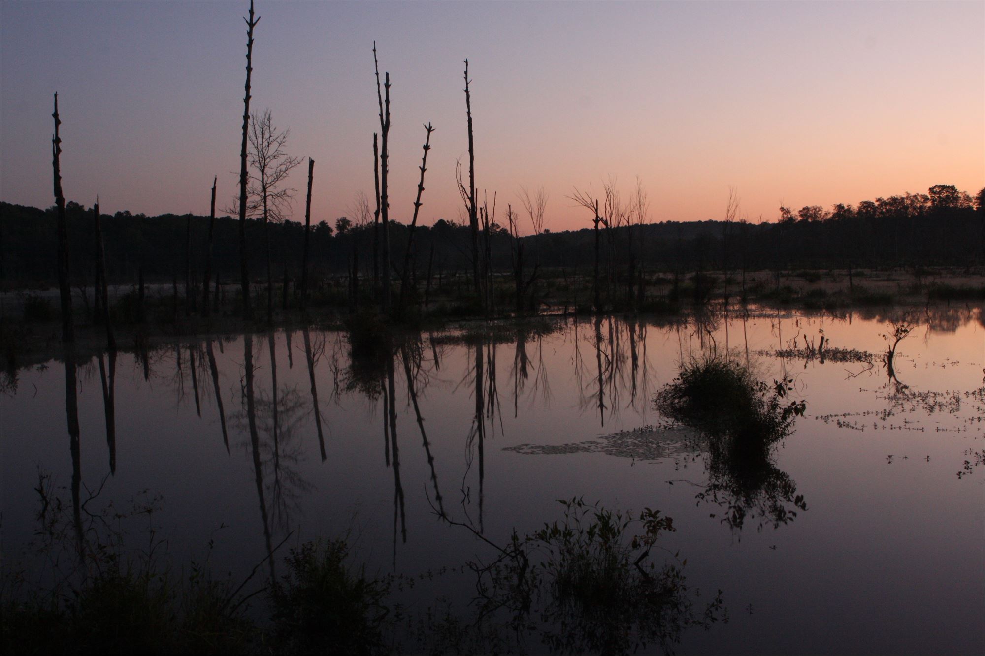 Big Haynes Creek Nature Center