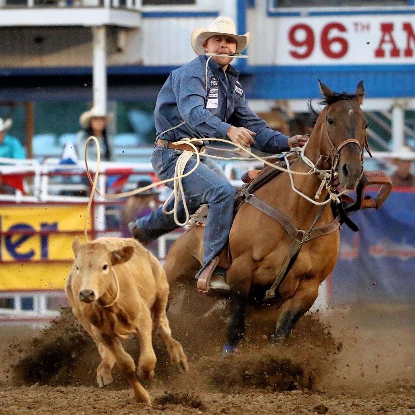 PRCA Rodeo Series