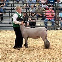 2025 Lamb Weigh In Results