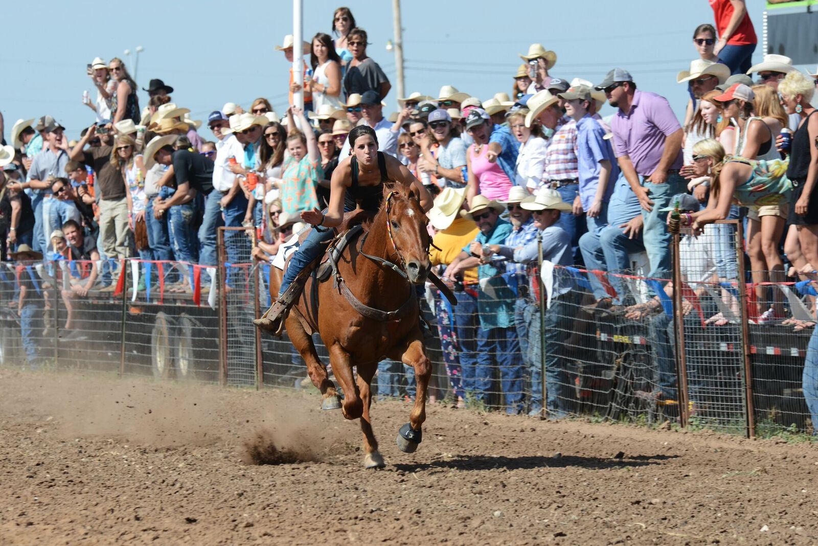 matched-horse-races