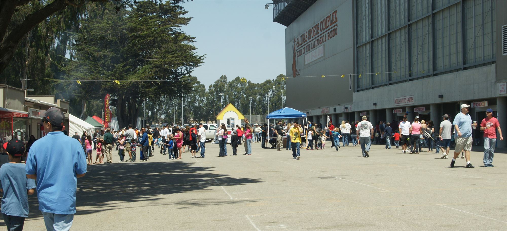 Concerts & Festivals