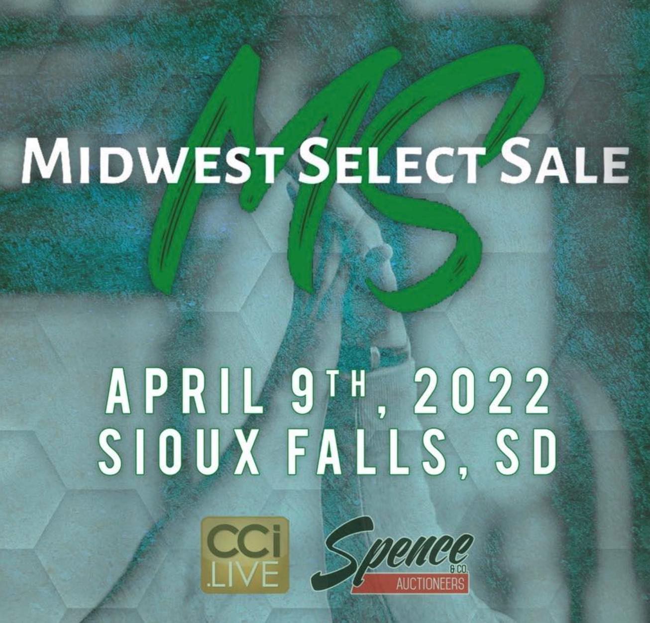 Midwst Select Goat Sale
