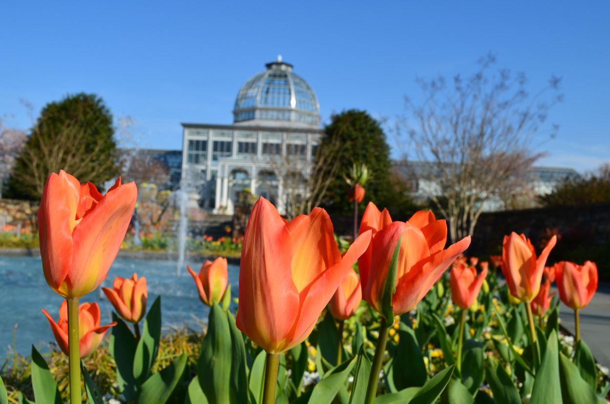 Lewis Ginter Botanical Garden's 'A Million Blooms' In Full Swing