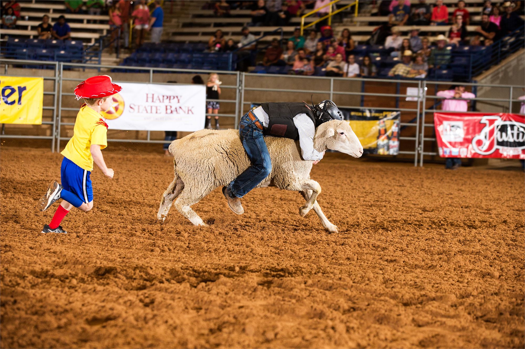 sheep, rider, kids, vest, helmet, dirt, clown, red hat, yellow shirt, blue shorts