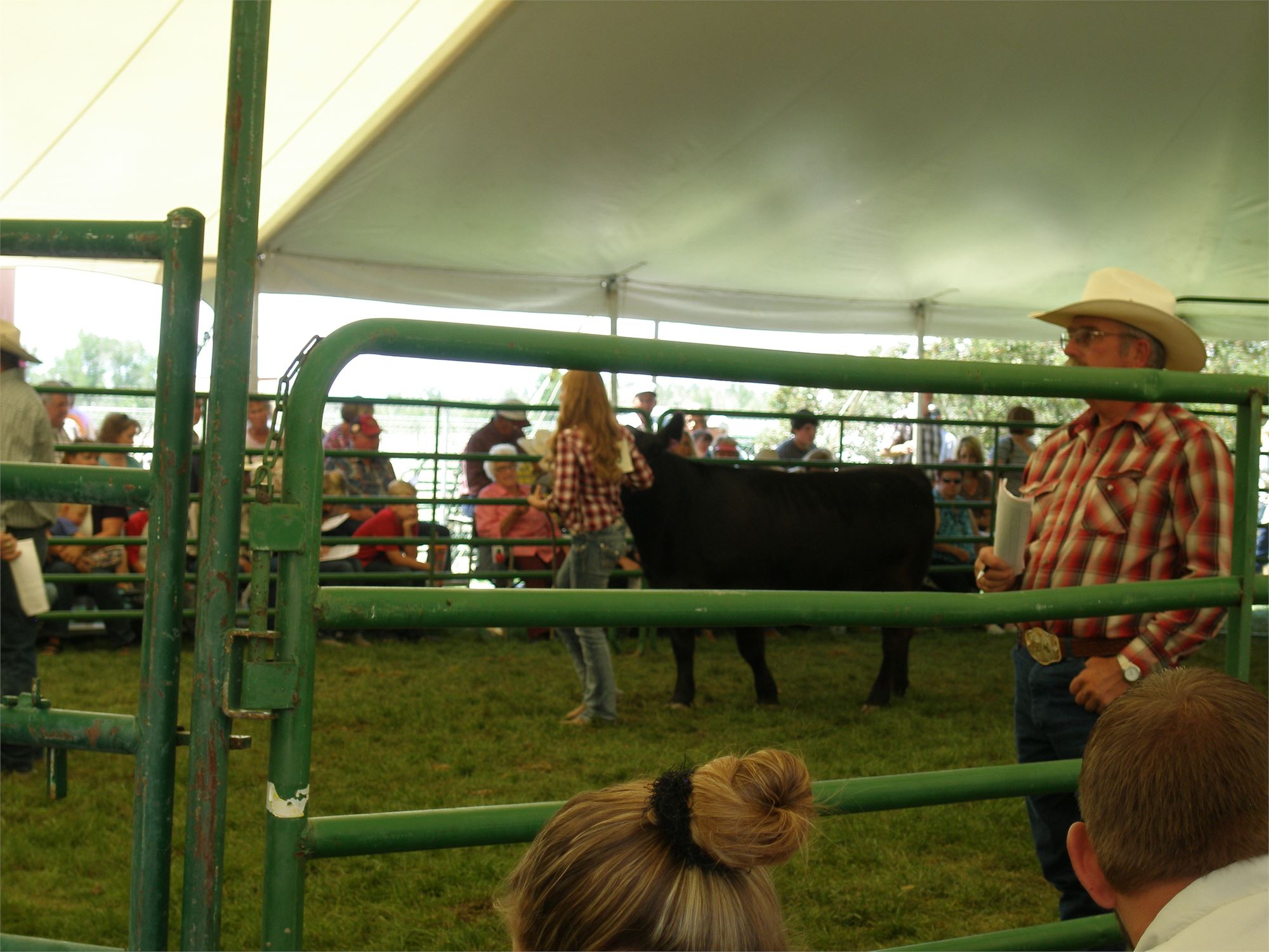 Junior Livestock Sale Board