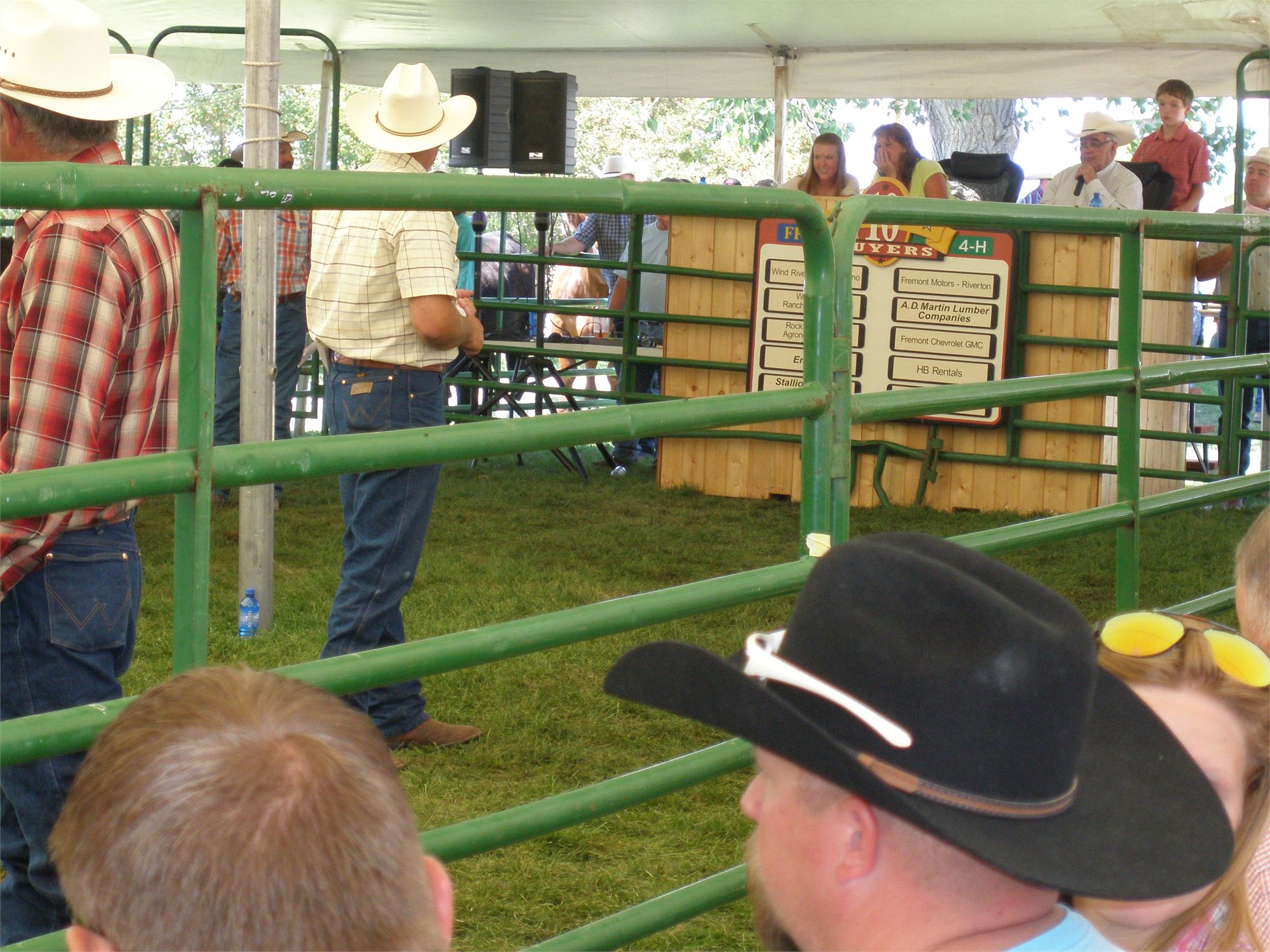 Junior Livestock Sale Board