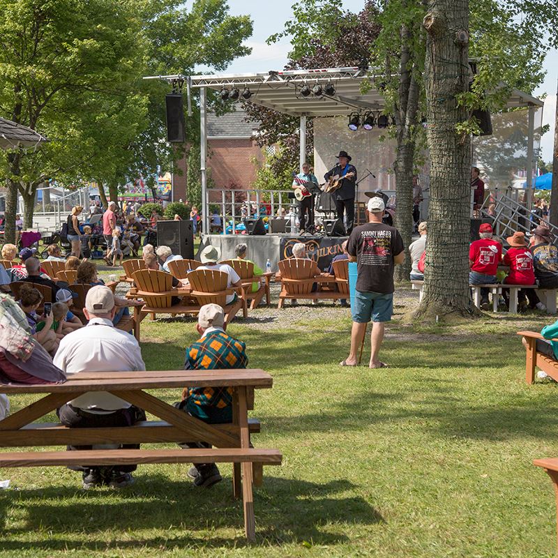 Fairgoers enjoying music in slade park
