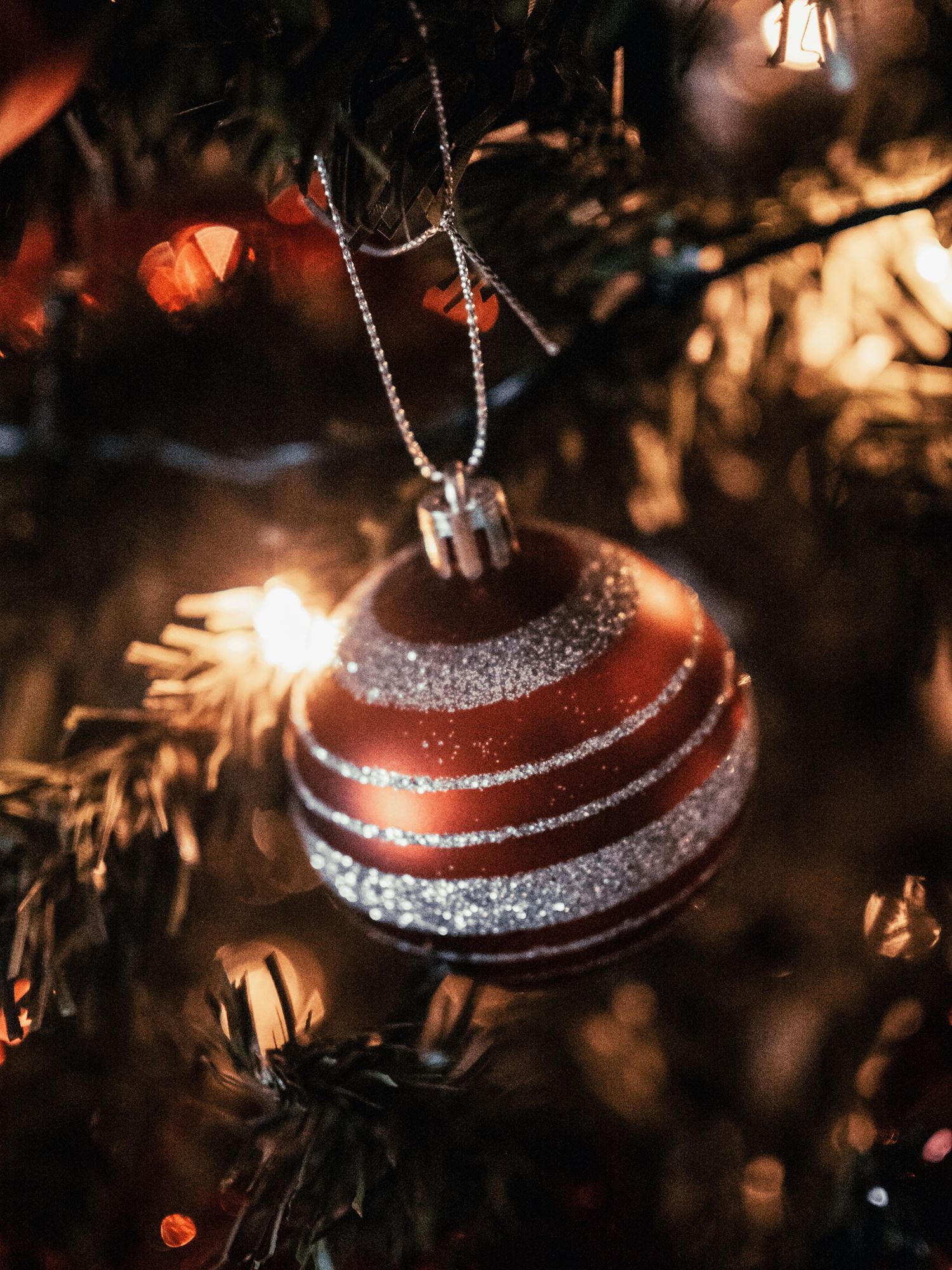 Christmas Ornament hanging on a pine tree