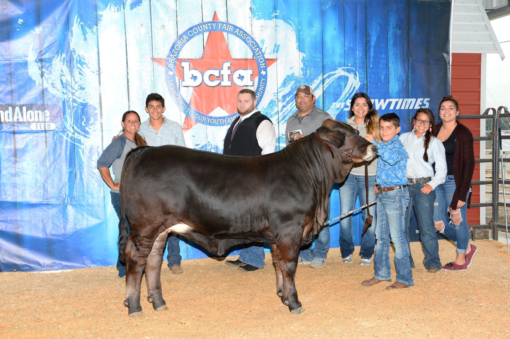 Commercial Heifer Show
