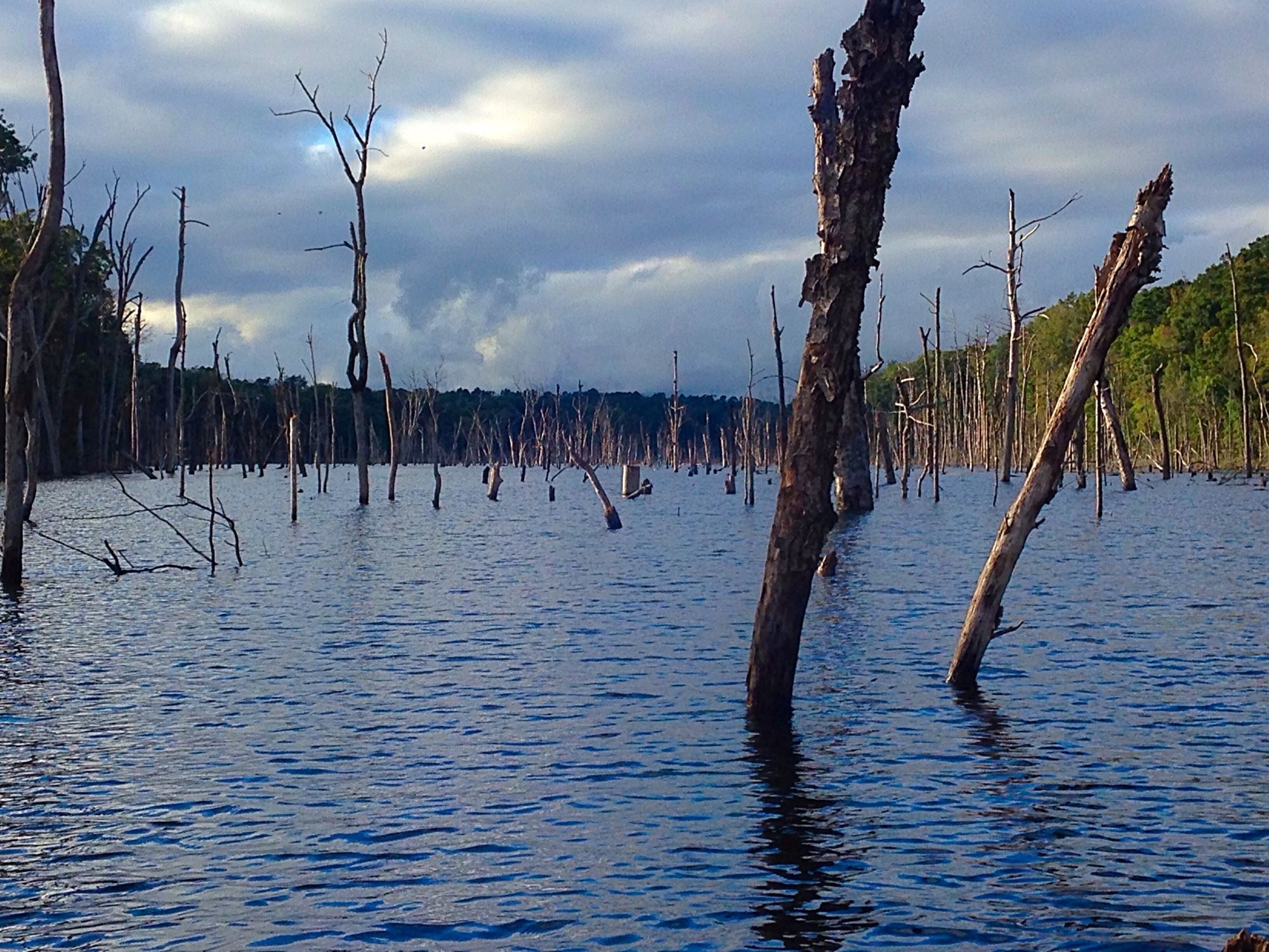 Lake Naconiche Cabins