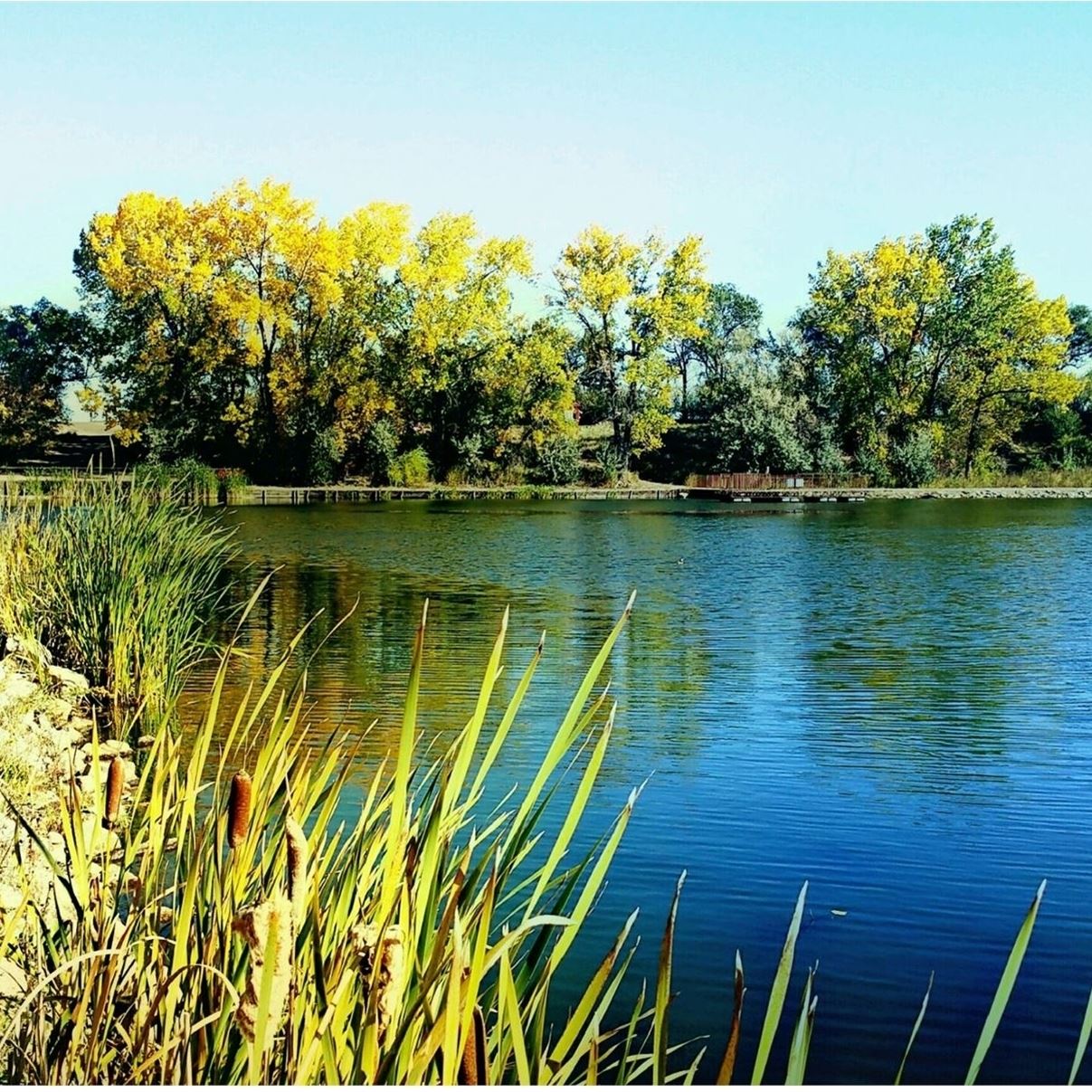Dickinson, ND North Lemmon Lake Wildlife Management Area