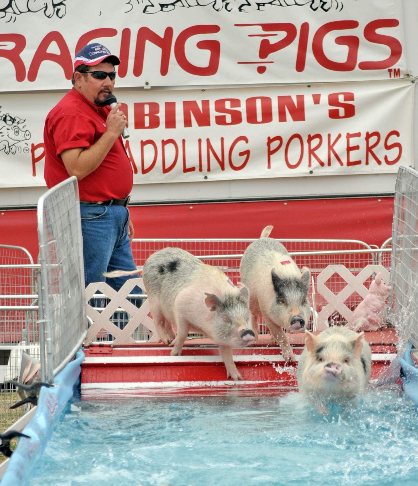 Are Dogs Allowed At Pasco County Fairgrounds