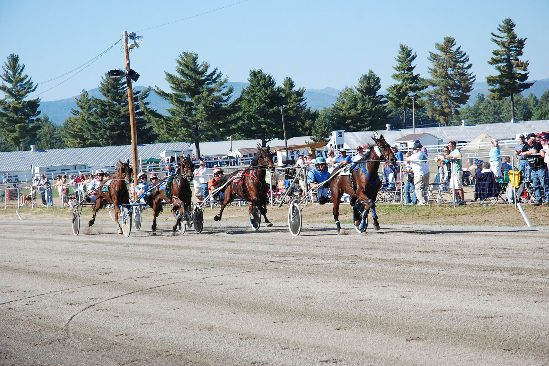 harness-racing