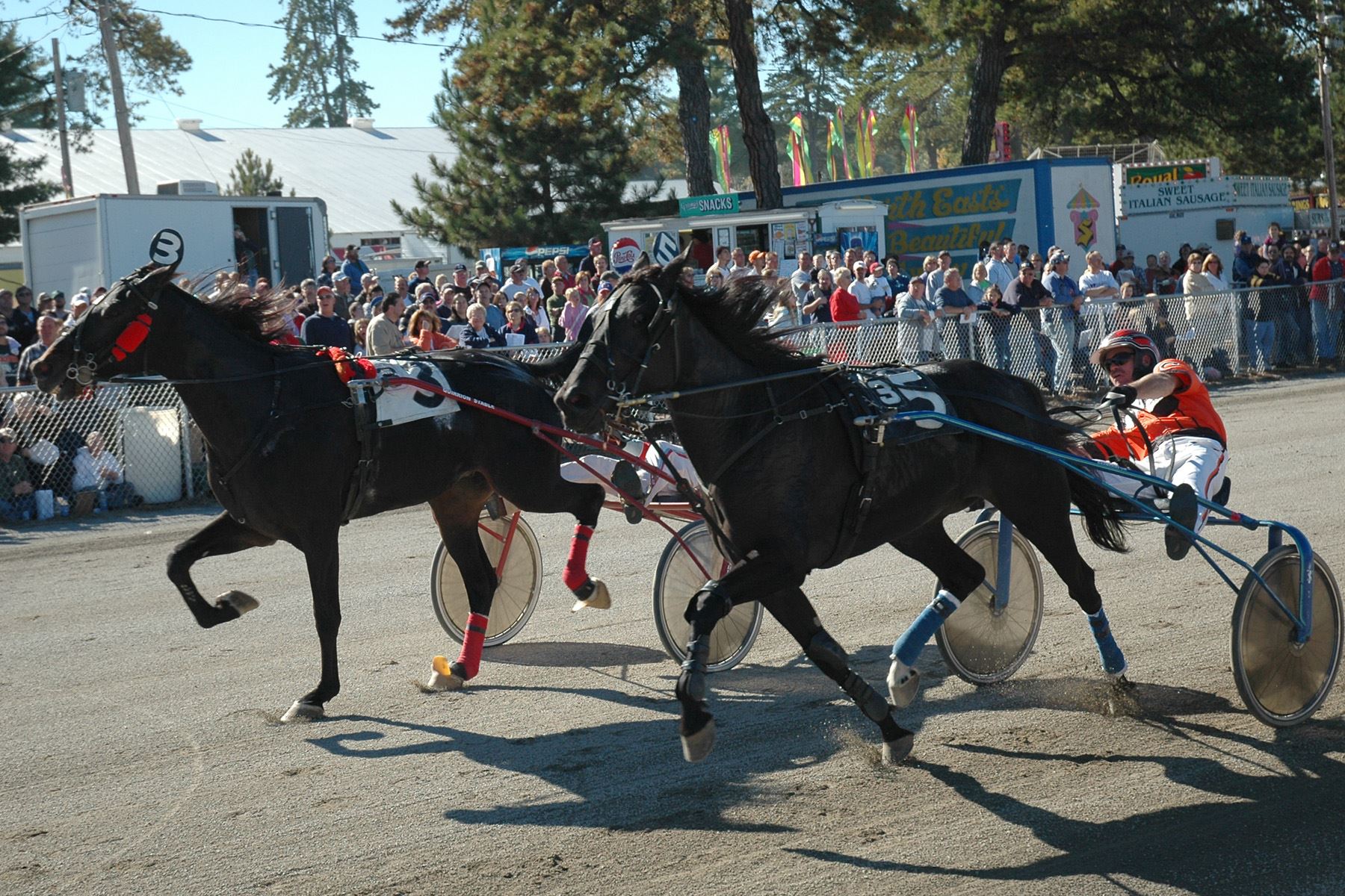 Harness Racing