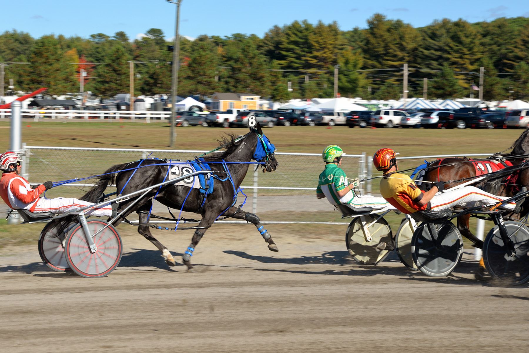 Harness Racing