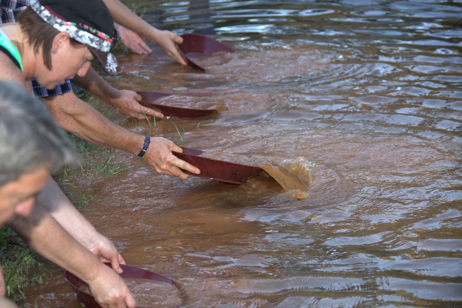 Digging for Treasure: Gold Prospecting - Roaring Camp Gold