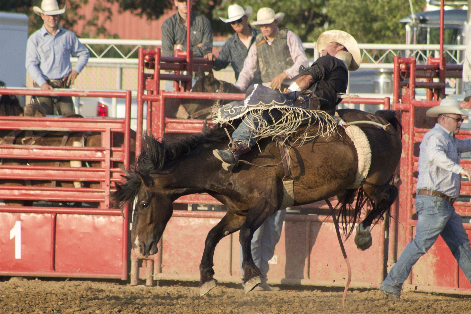 Championship Rodeo (Gates open at 630 pm)