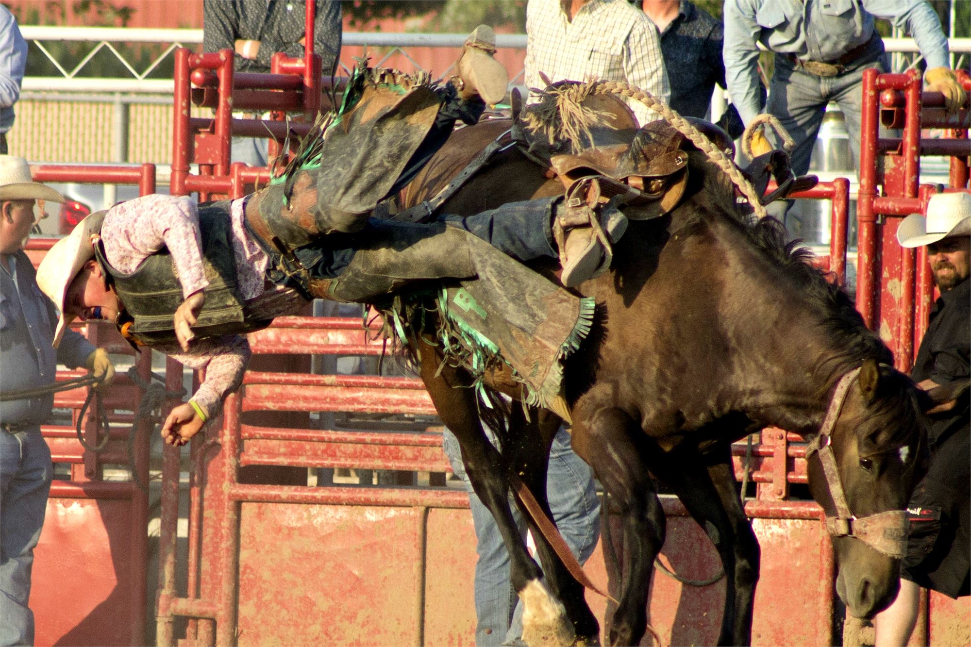 Championship Rodeo (Gates open at 630 pm)