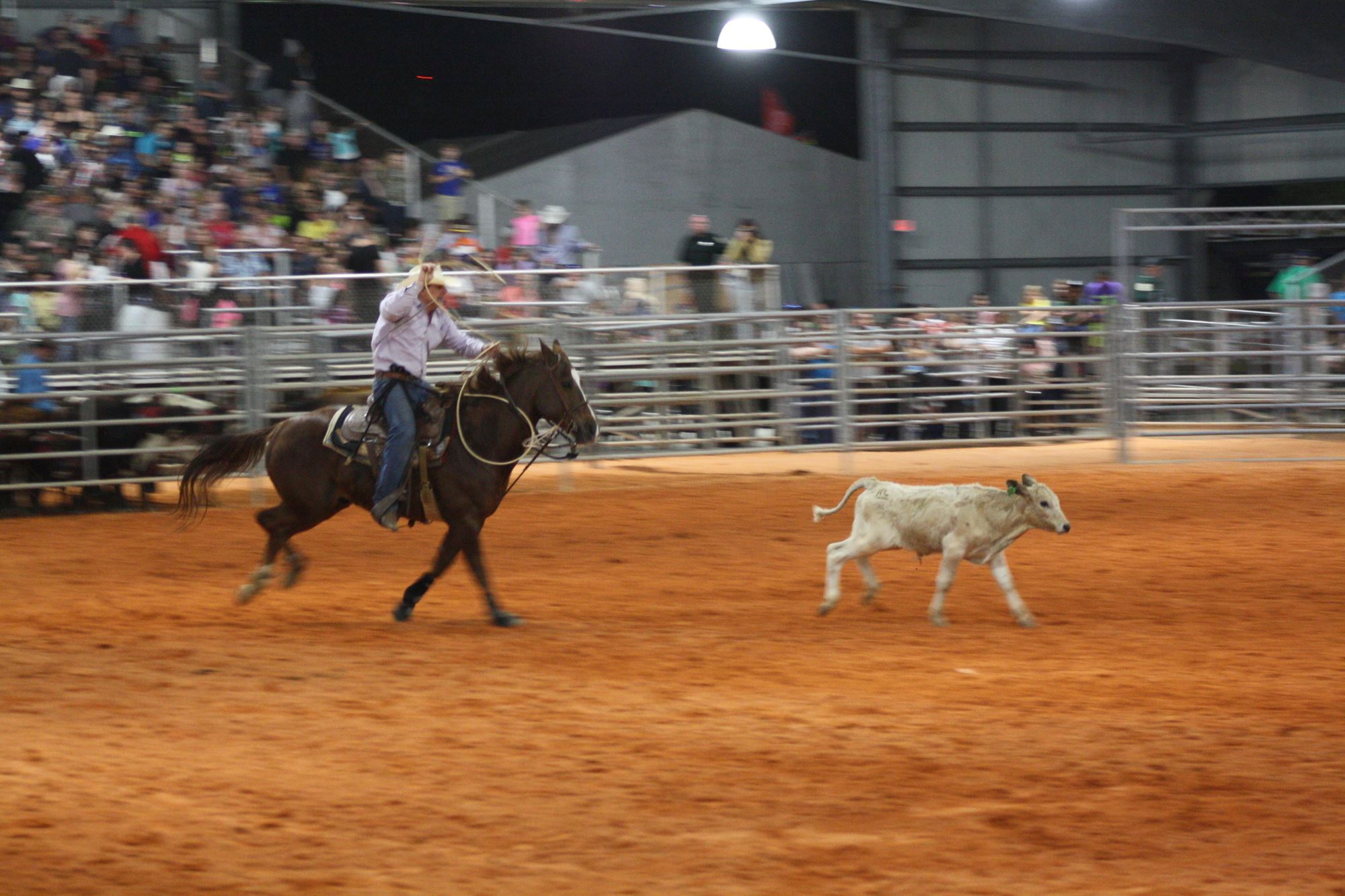 St Lucie County Fair