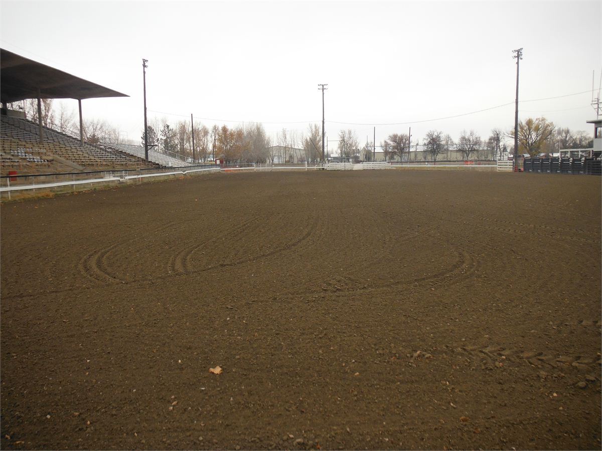 Rodeo Arena 1200 Per Day