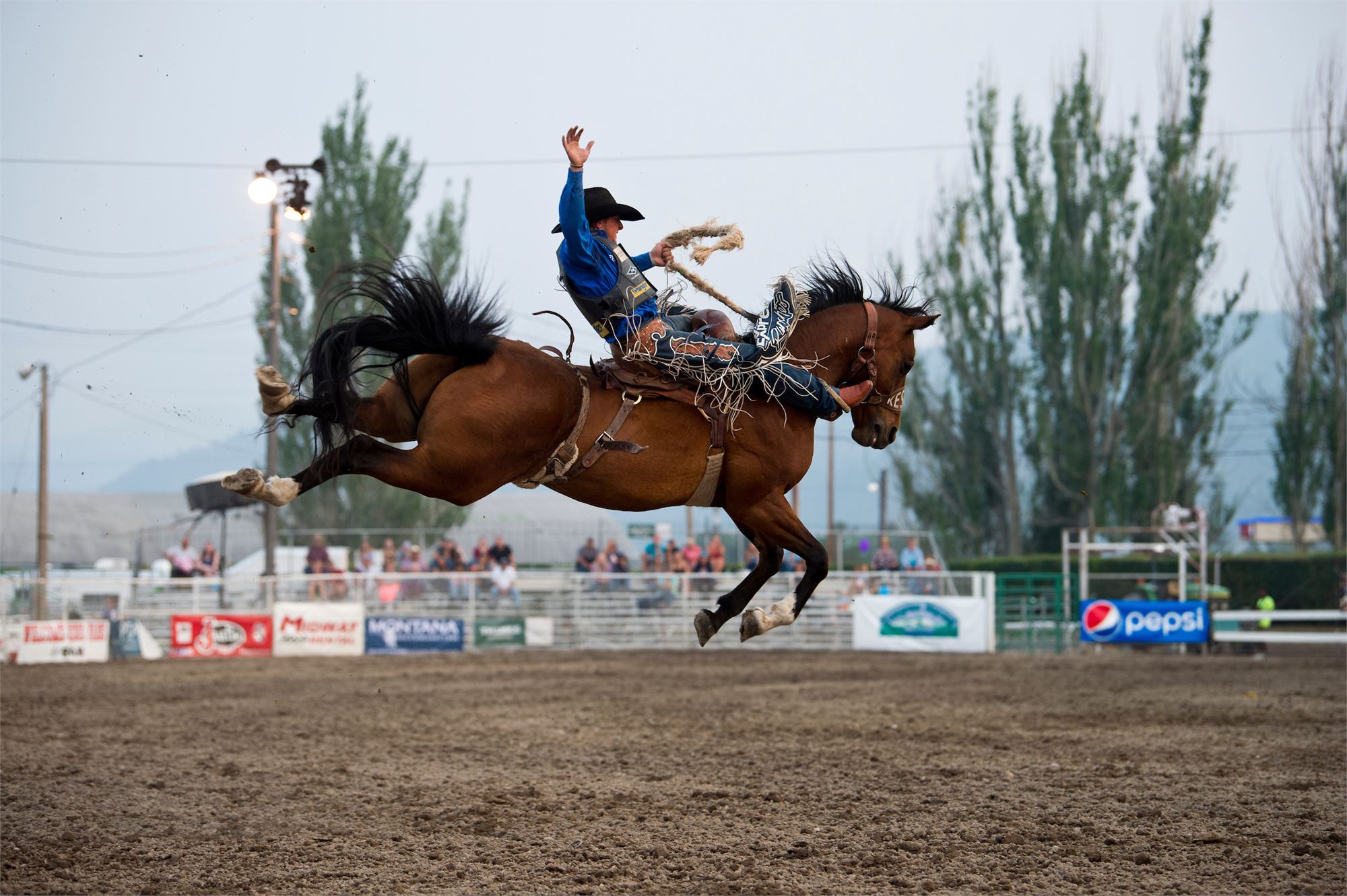 Northwest Montana Fair