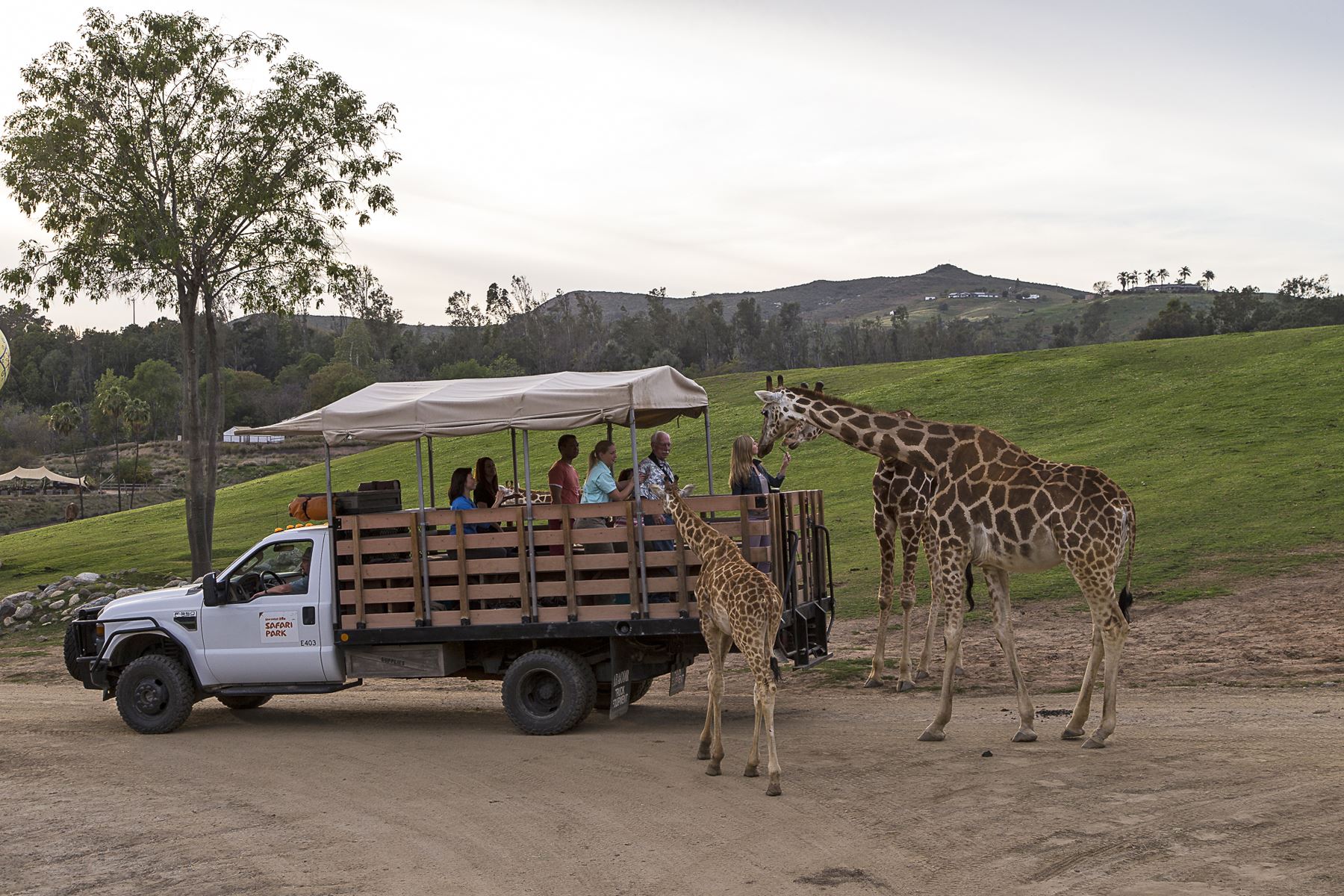 san diego zoo safari park customer service