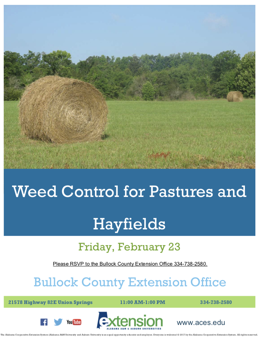 Weed Control For Pastures And Hayfields 8158