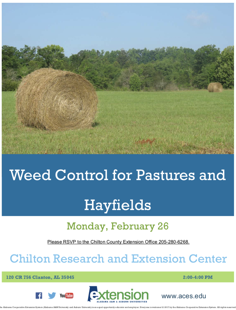 Weed Control For Pastures And Hayfields 0298