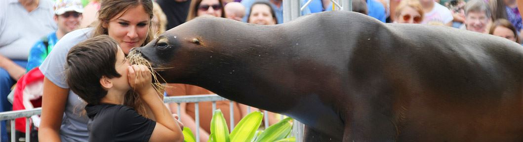 Sea Lions make a splash at 2023 New Mexico State Fair 