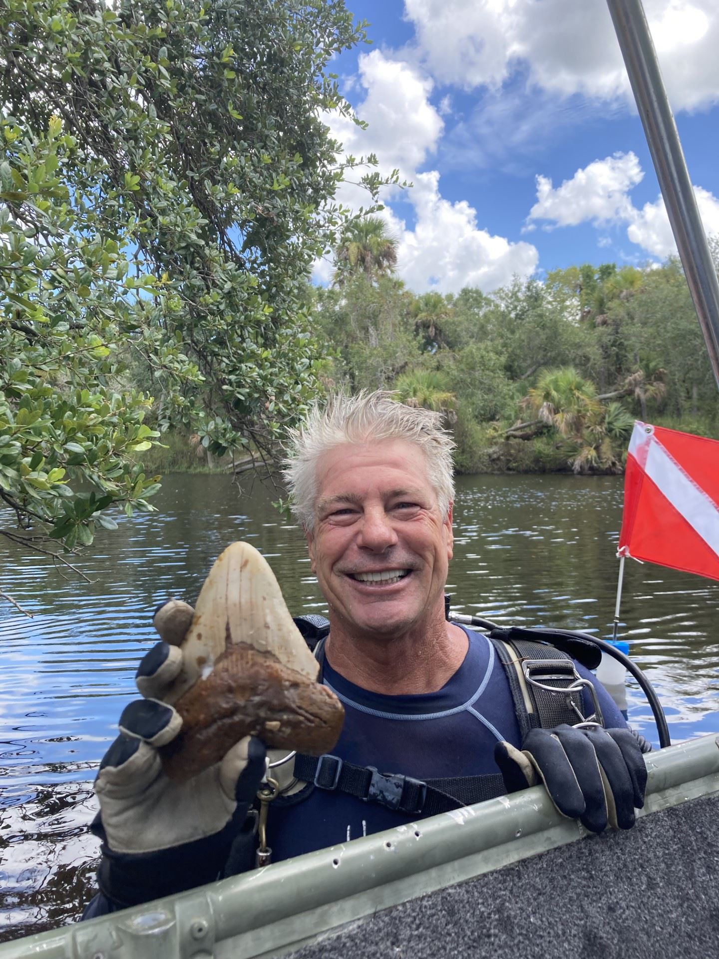 Sarasota Sharks Tooth Festival