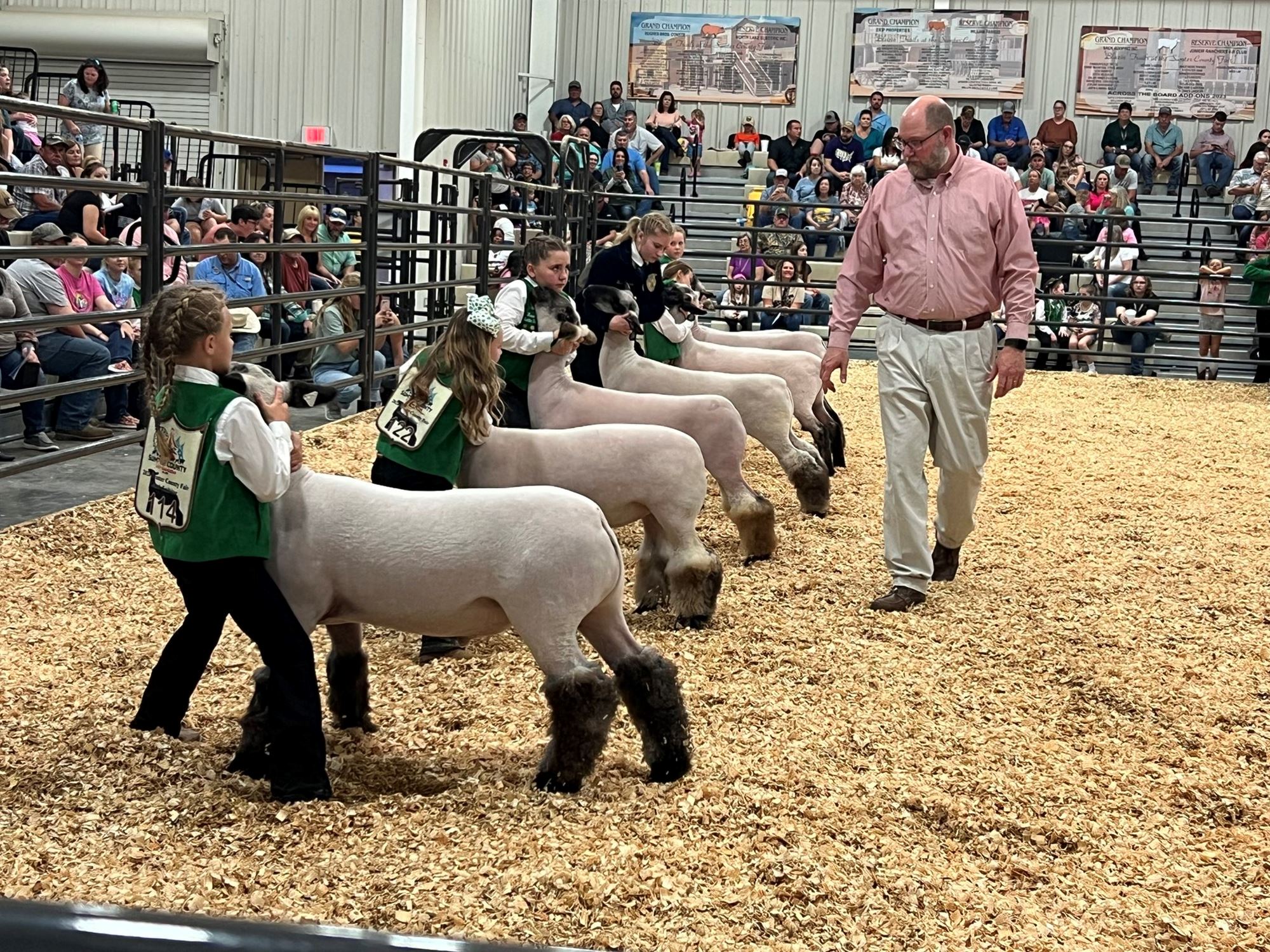 Sheep Show Rules and Registration Link