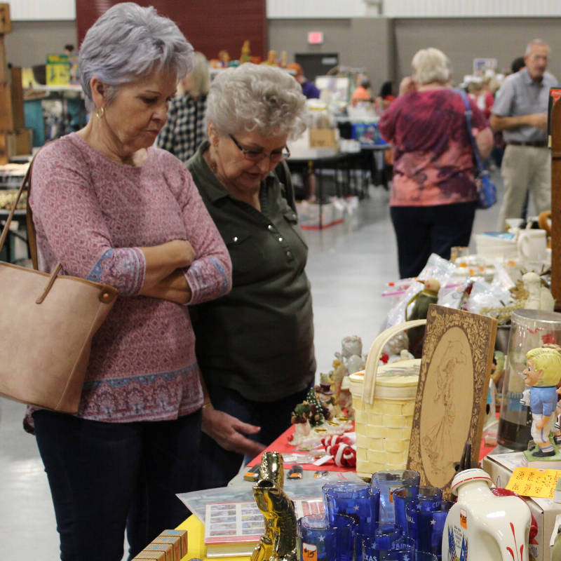 The Williamson County Fair and Rodeo offers attractions for everyone