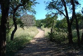 Singing Wind Park