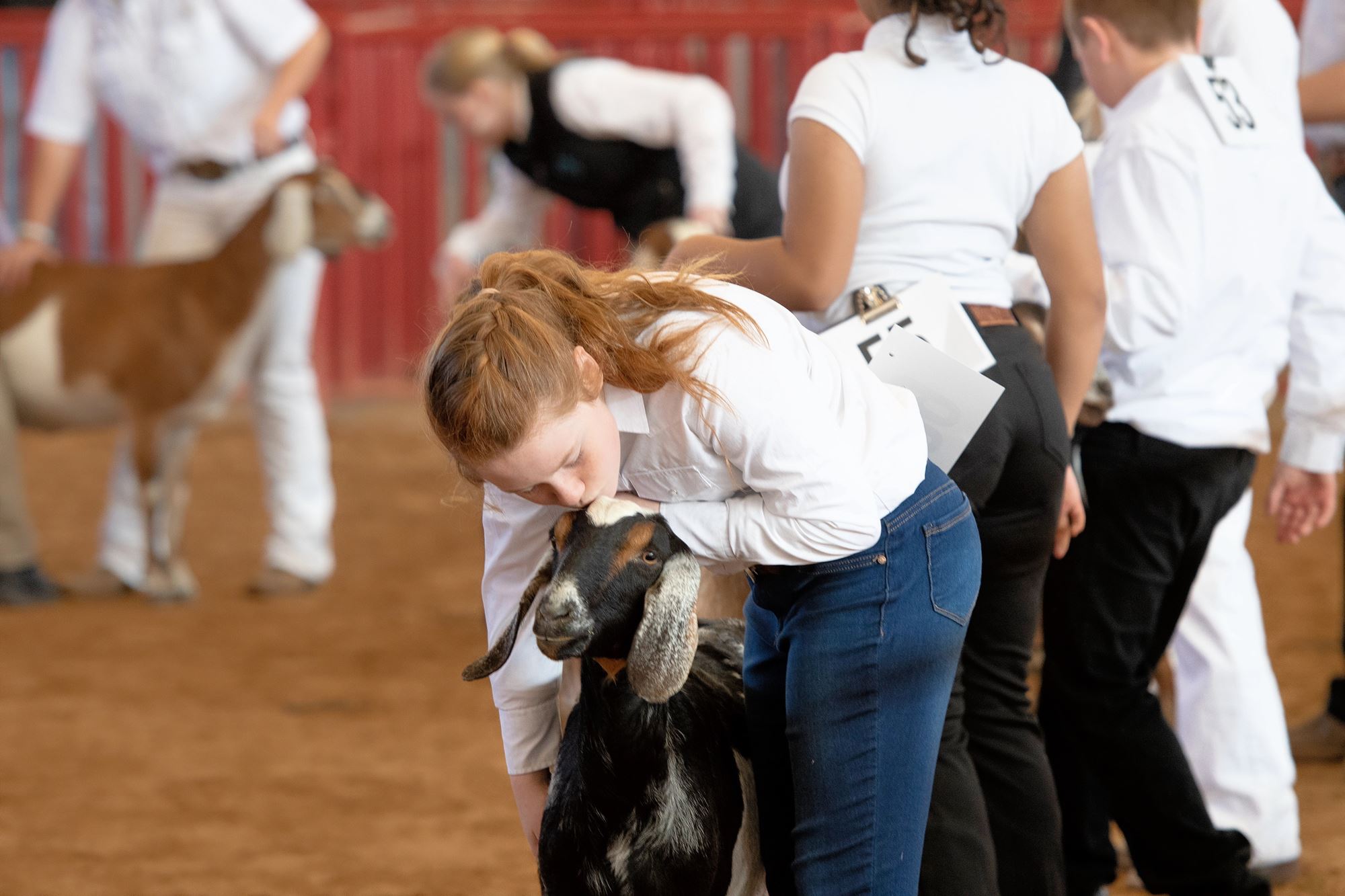 All American Dairy?Goat Show