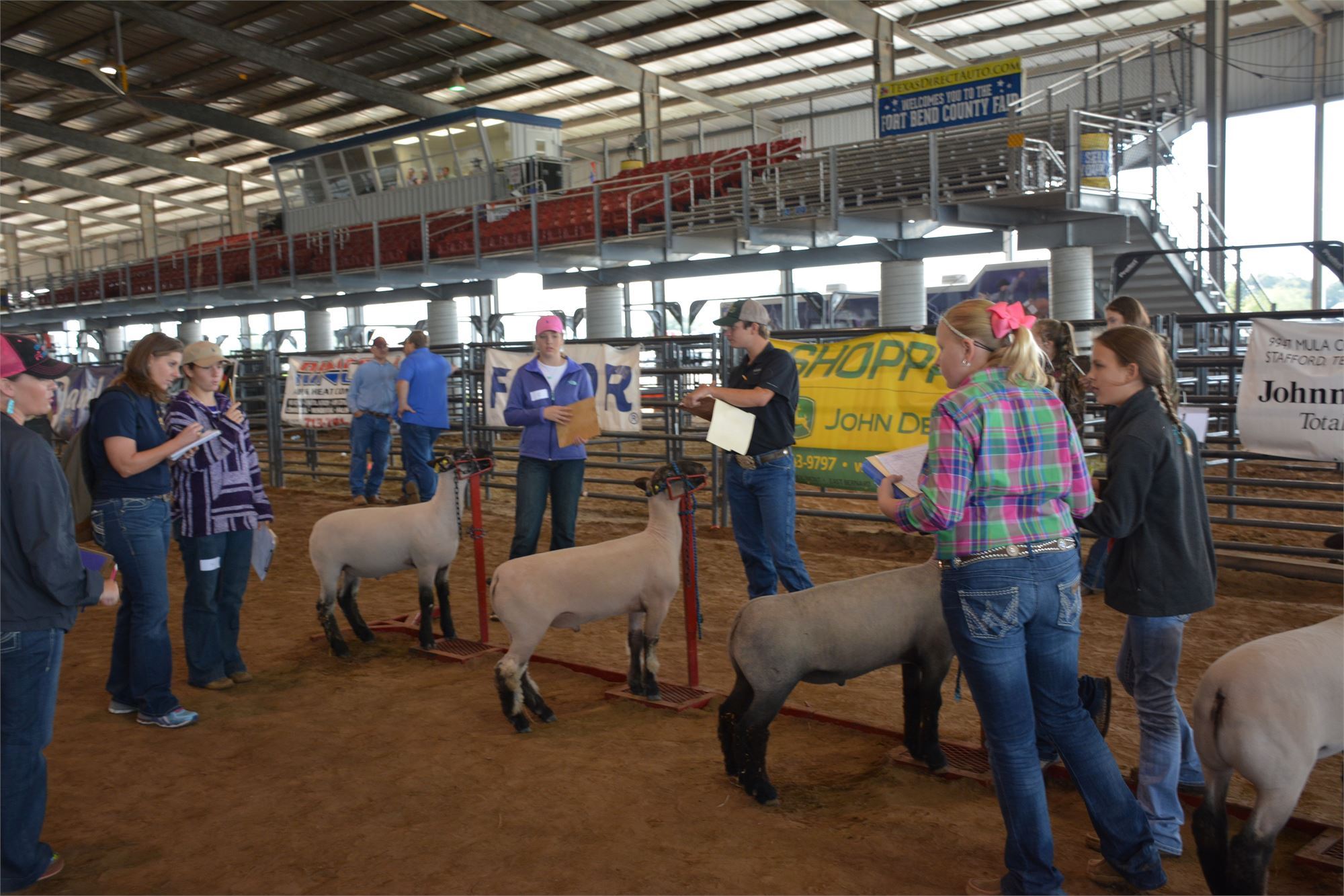 Jr. Livestock Judging Contest
