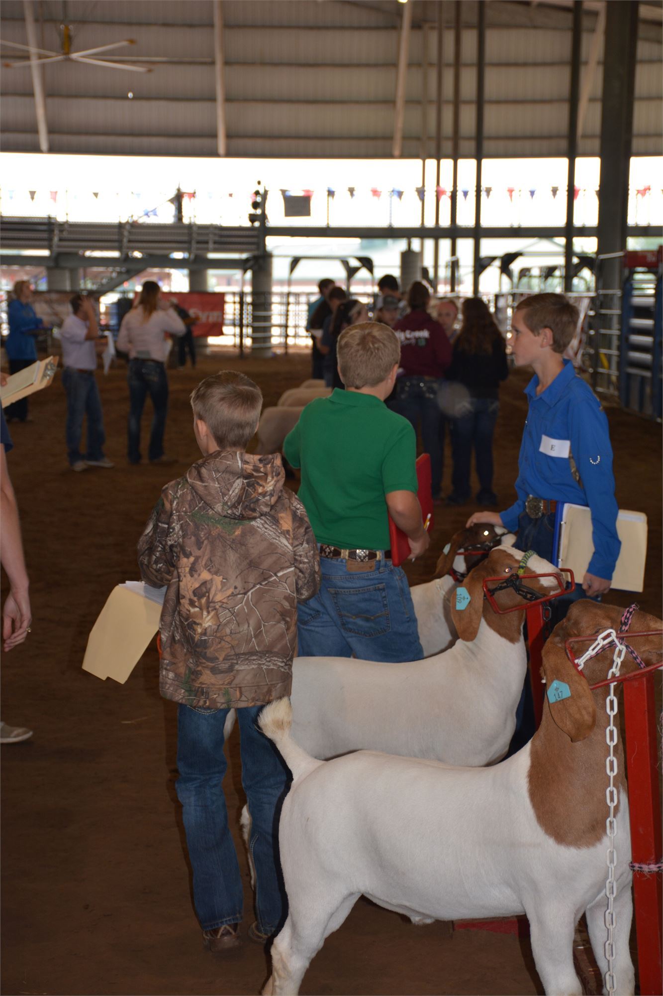 Jr. Livestock Judging Contest