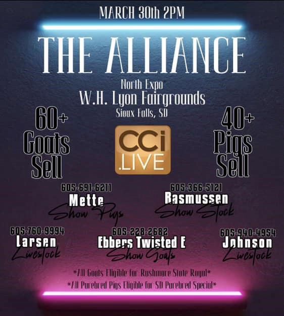 The Alliance Goat Sale Pig Sale