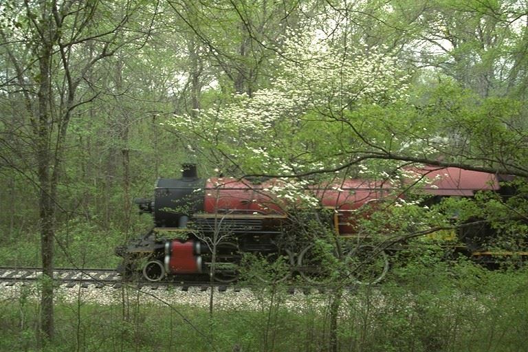 Palestine Diesel Train Ride